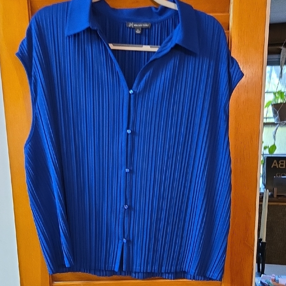 Adrianna Papell Blouse, XL